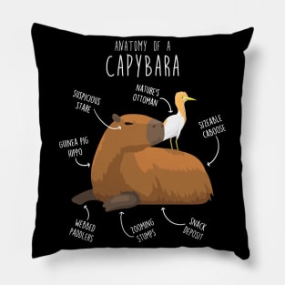 Capybara Anatomy Pillow