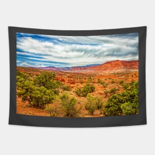 Capitol Reef National Park Tapestry