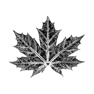 Leaf - Maple Tree - BLACK T-Shirt