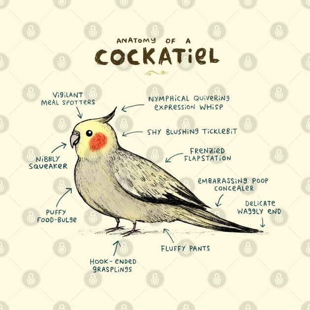 Anatomy of a Cockatiel by Sophie Corrigan