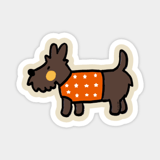 brown puppy in orange jumper Magnet