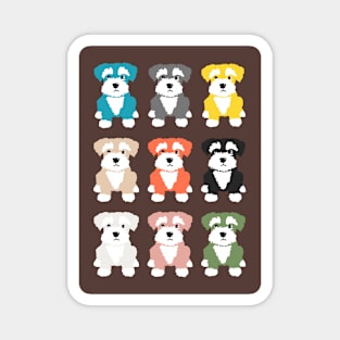 Rainbow of Miniature Schnauzer Dogs on Chocolate Brown  Background Magnet