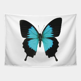 Black and Blue Butterfly Tapestry