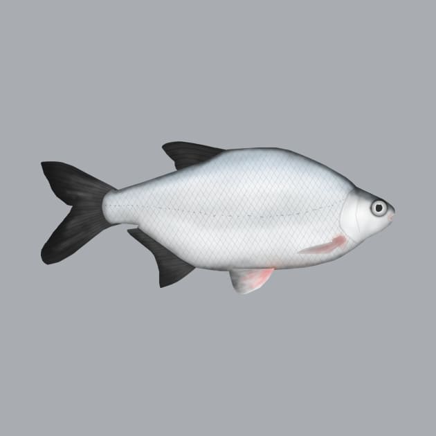 Silver Bream by FishFolkArt