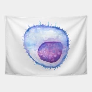 B cell WBC white blood cell Tapestry