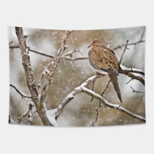 Mourning Dove Tapestry