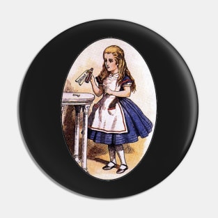 Alice in Wonderland Vintage Pin