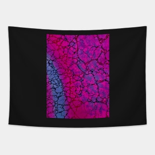 Fuchsia Crack Tapestry