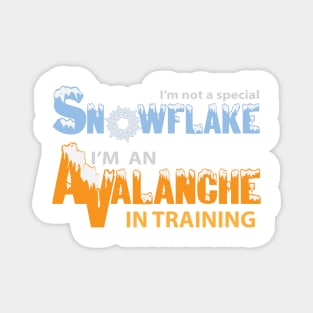 Not A Special Snowflake, An Avalanche In Training Magnet