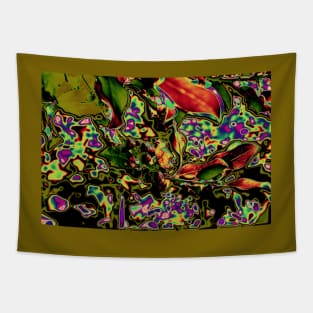 Psychedelic Background_Holly Tapestry