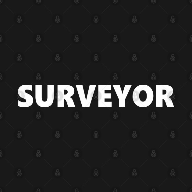 SURVEYOR by SignPrincess