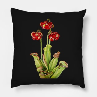 Purple Pitcherplant - Sarracenia Purpurea- Walcott - Botanical Illustration Pillow