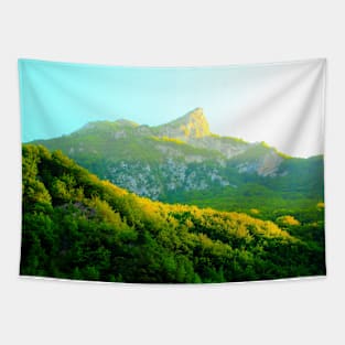 Sibillini mountains with a crest resembling a side face Tapestry