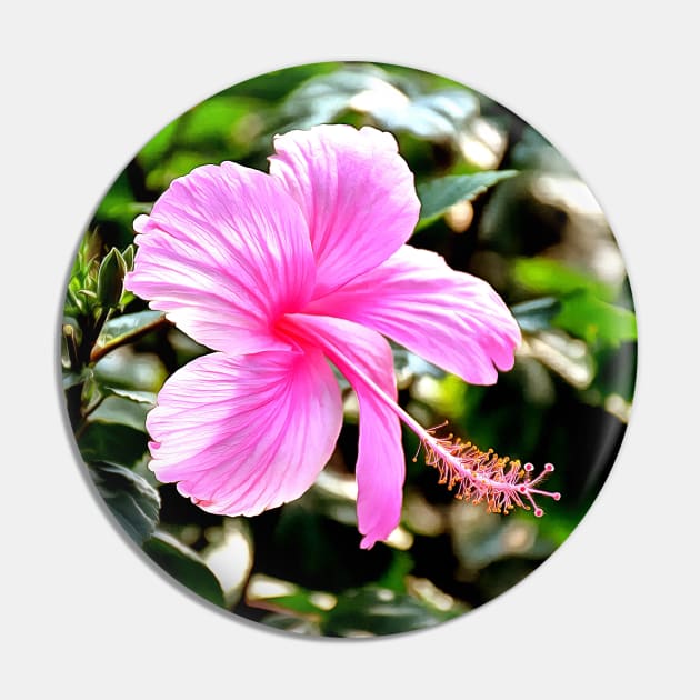 Vivid Pink Tropical Hibiscus Pin by SeaChangeDesign