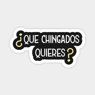 Camisa Chistosa en Espanol Funny Shirt in Spanish Magnet