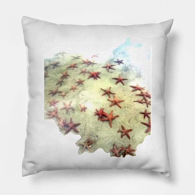 Sea Star Pond Pillow by MJDiesl