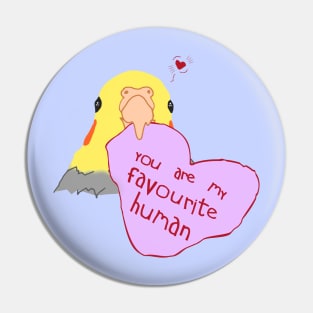 you are my favourite human Pin