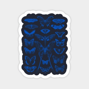 Butterflies Magnet