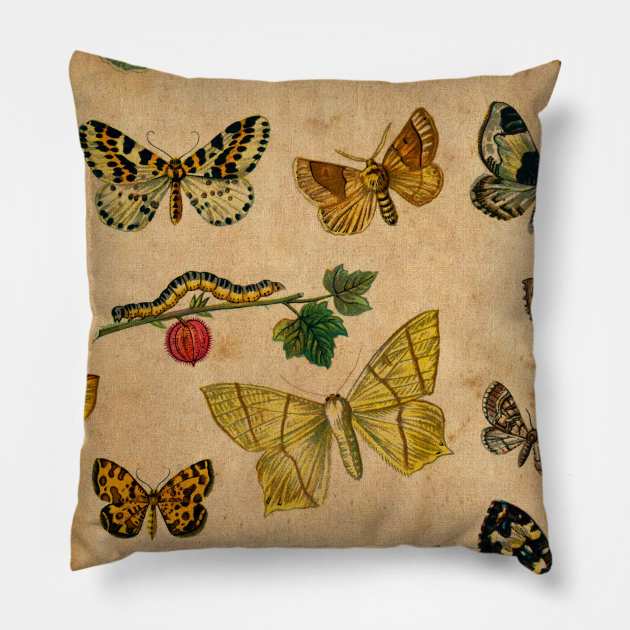 Butterflies Gold Pillow by My Artsam