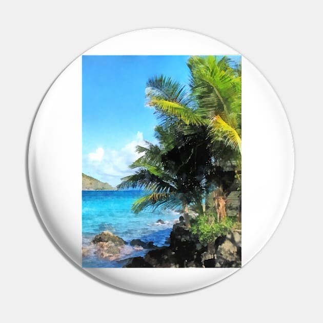 Caribbean - Palm Trees and Beach St. Thomas VI Pin by SusanSavad