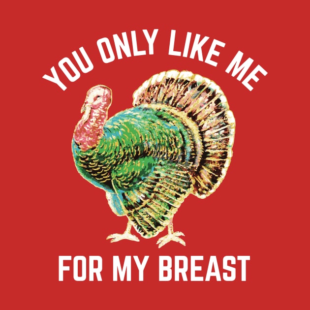Funny Thanksgiving Like Me For My Breast by PodDesignShop