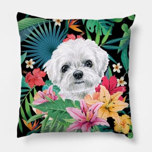 Tropical Maltese Dog 1 Pillow