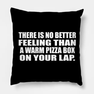 There is no better feeling than a warm pizza box on your lap Pillow