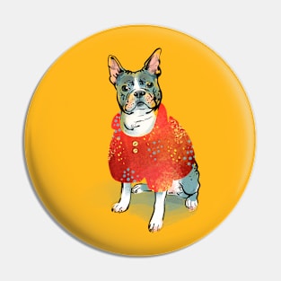 Dog in popons Pin