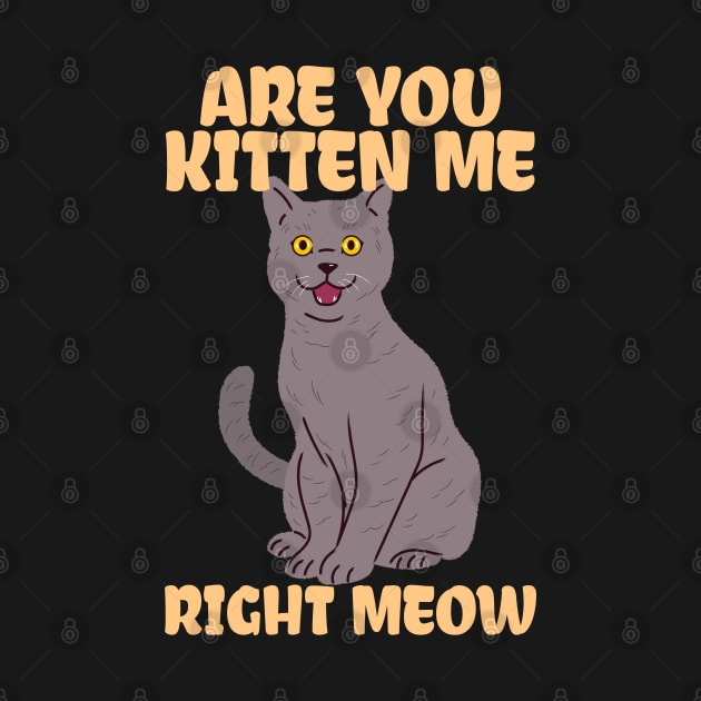 are you kitten me right meow cat kitting kidding by auviba-design