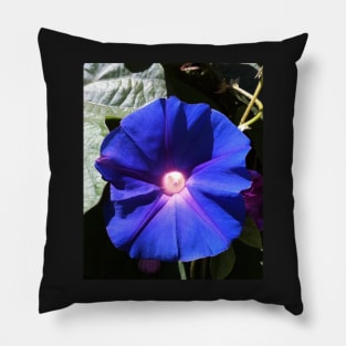 Blue Morning Glory: Good Morning World! Pillow