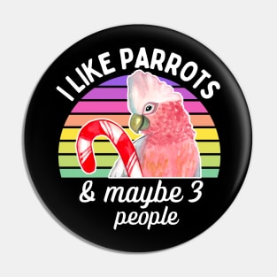 parrot lover, parrot owner, sunset, rainbow, lovebirds Pin