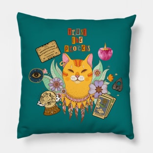 Groovy cat Pillow