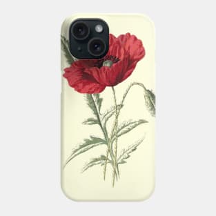 Red flowers poppy Phone Case