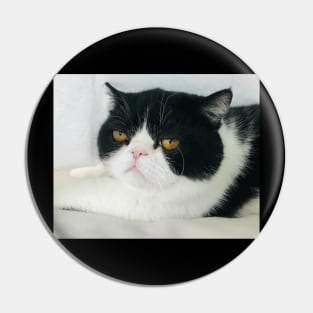 Purrfectly Relaxed Pin