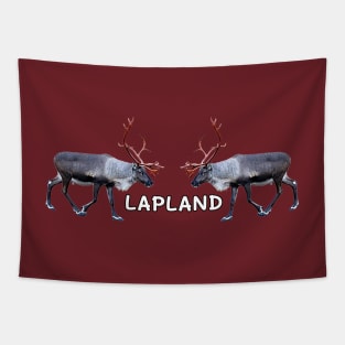 Lapland in Finland Tapestry