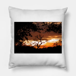Fiery Sunset 2 Pillow