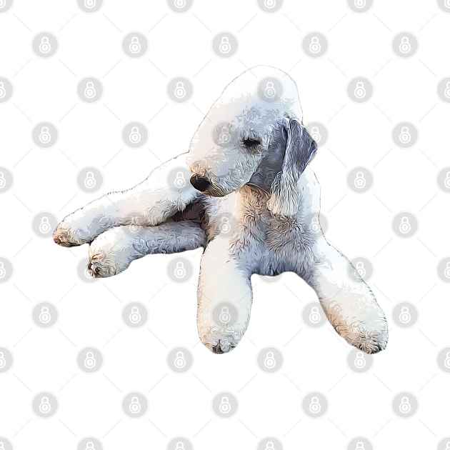 Bedlington Terrier Laying Down by ElegantCat