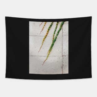 Ivy Growing on Grey Concrete Wall Tapestry