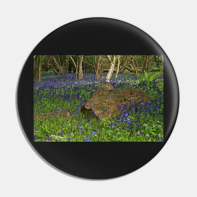 Bluebell Wood Pin by RedHillDigital