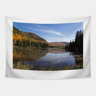 Fall colours in Canada Tapestry