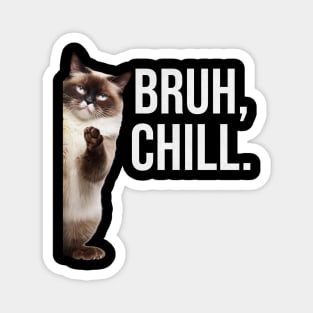 Funny Cat Meme Bruh Chill Magnet