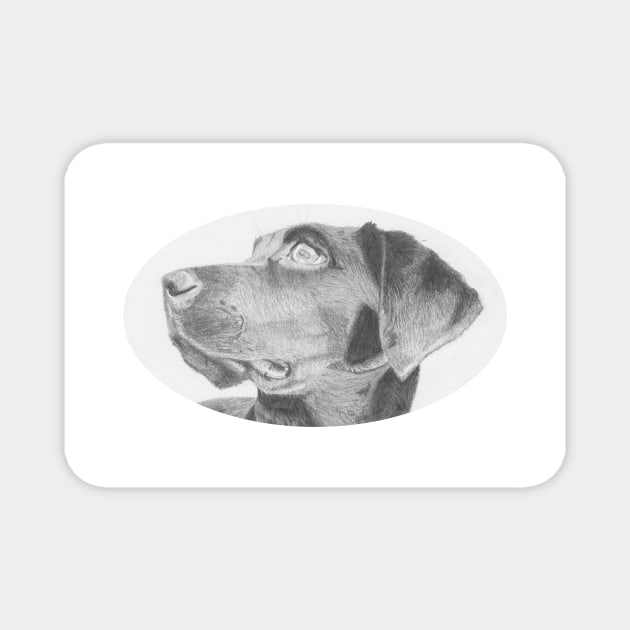 Black Labrador Retriever Headshot Magnet by DavidASmith