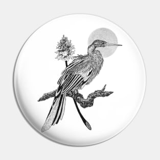 African darter bird Pin