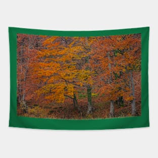 Red forest Tapestry