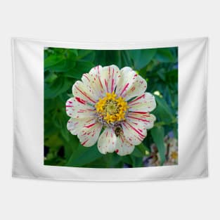 Zinnia Guest Tapestry