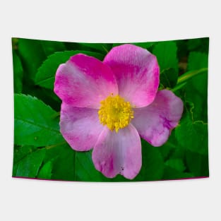 Wild Carolina Rose Tapestry