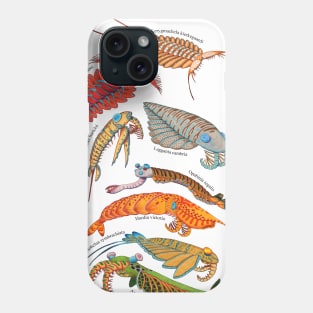 Anomalocaris Phone Case