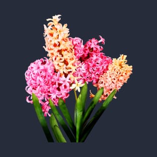 Hyacinths - Orange and Pink Hyacinths T-Shirt