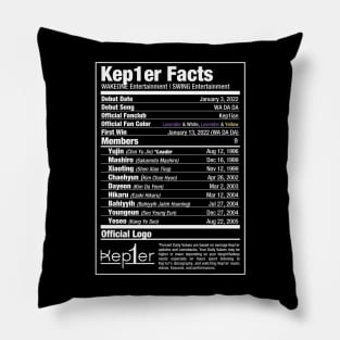 Kep1er Nutritional Facts Pillow