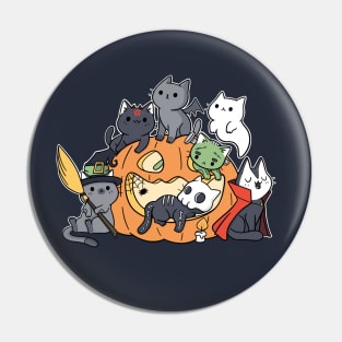 Halloween Kittens Pin